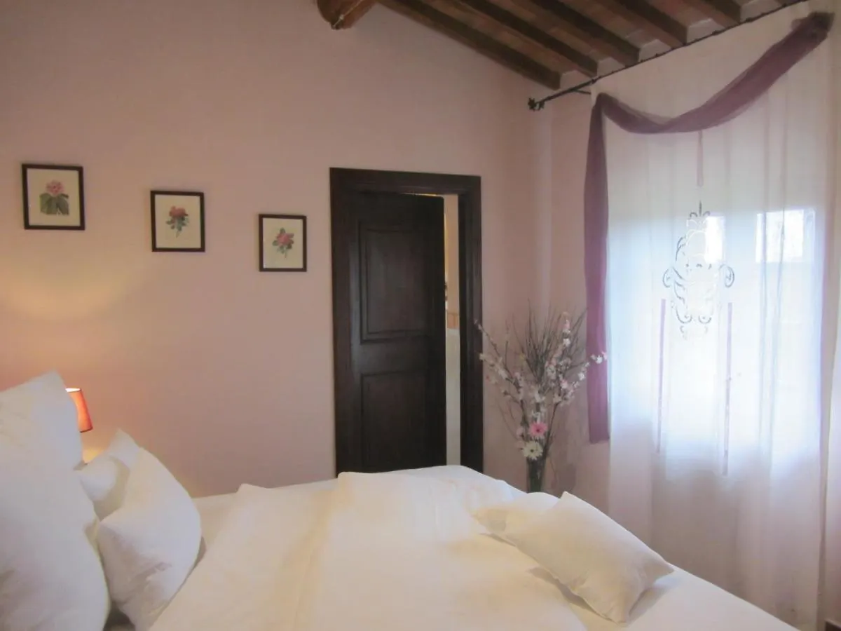 Tenuta Seripa Sassetta