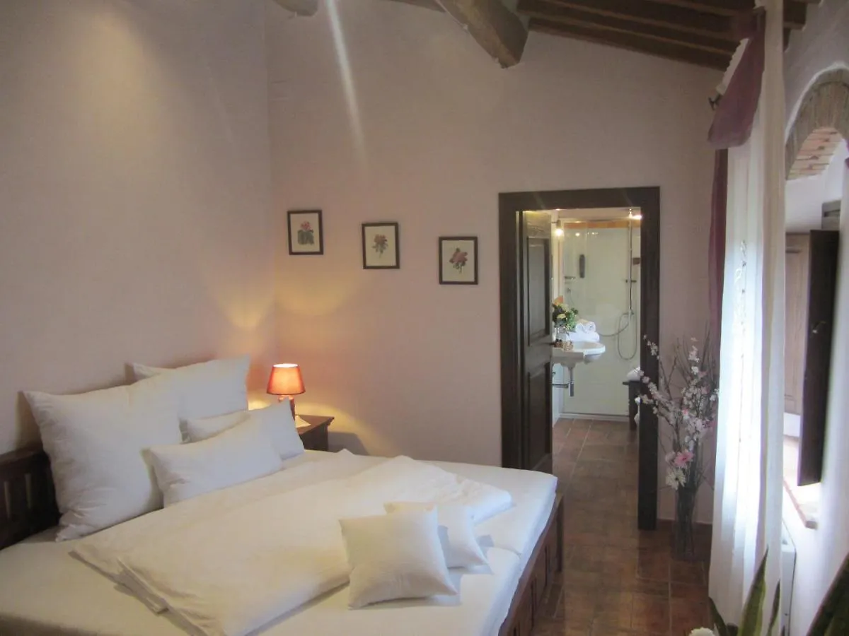 Tenuta Seripa Sassetta Italia