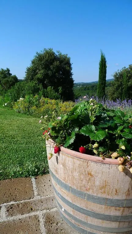 Tenuta Seripa Sassetta Casa di campagna
